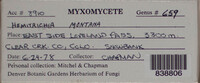 Image Associated With the Occurence